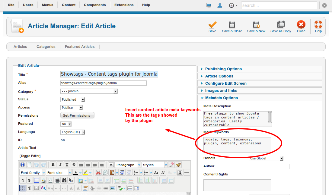 Insert article meta-keywords